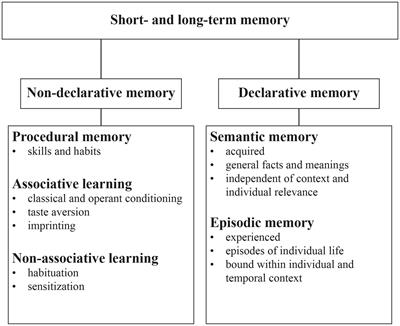 Challenges and advanced concepts for the assessment of learning and memory function in mice